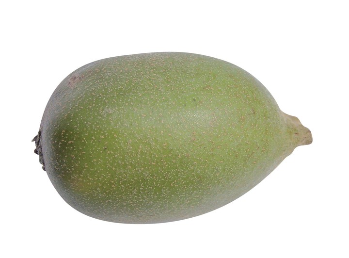 음식이미지