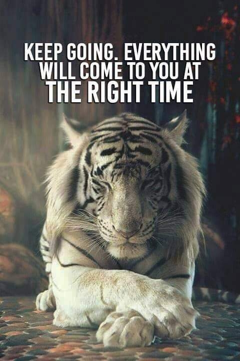 Everything will come in time