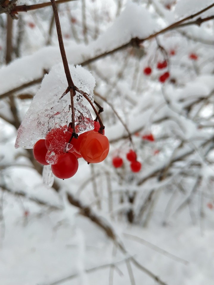 winter