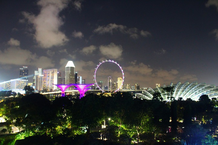 Singapore Night Skyline