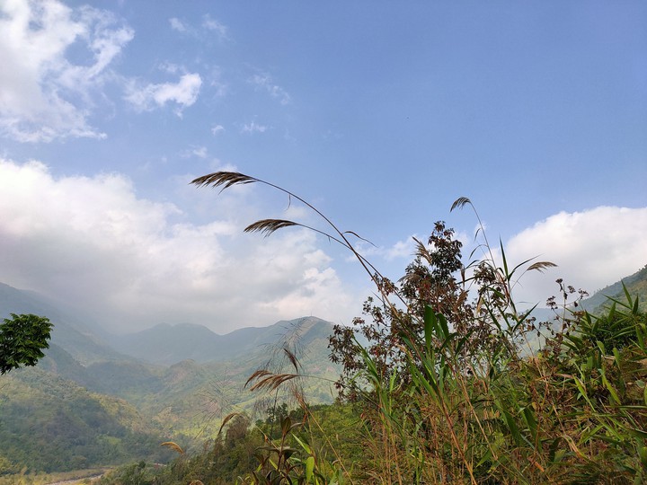 Nature photography
