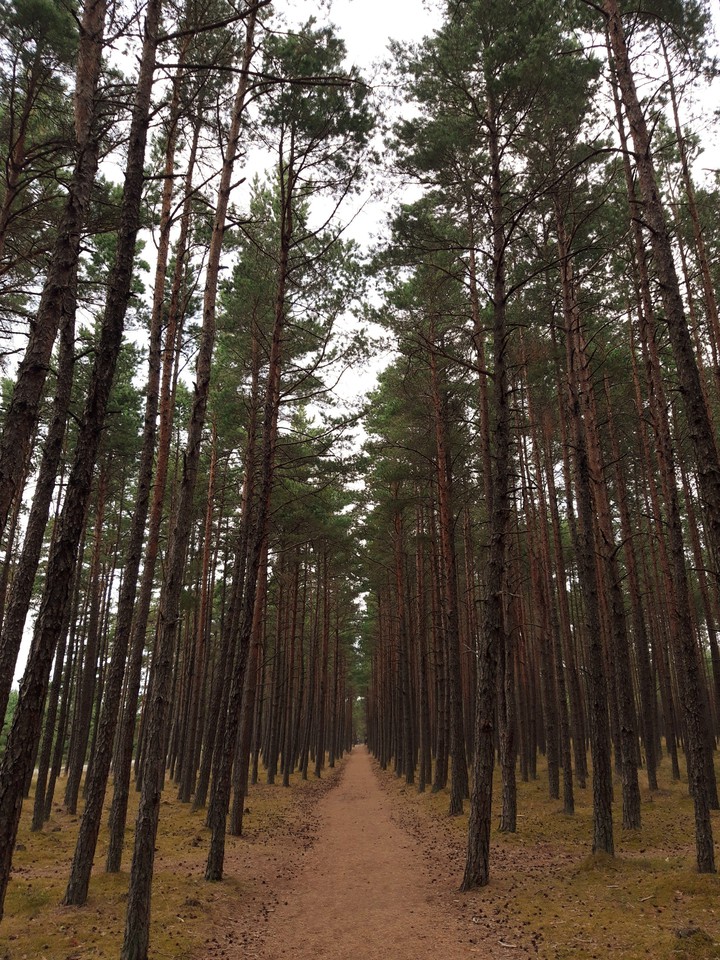 Hike