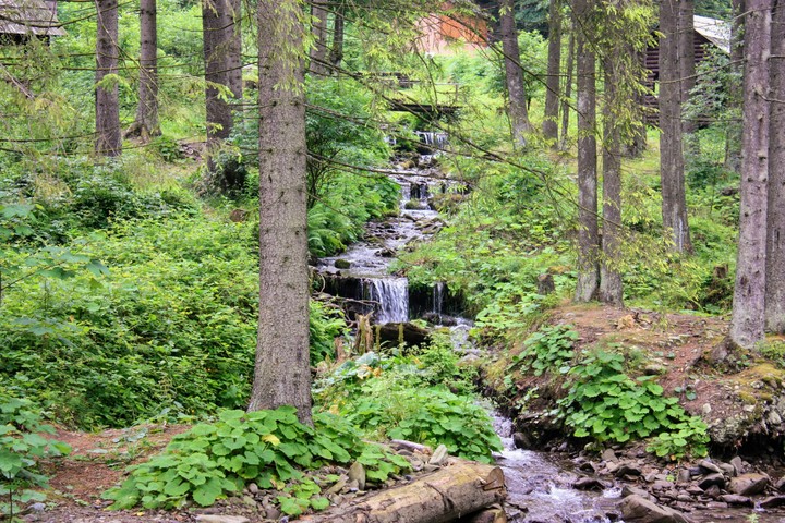 Stream