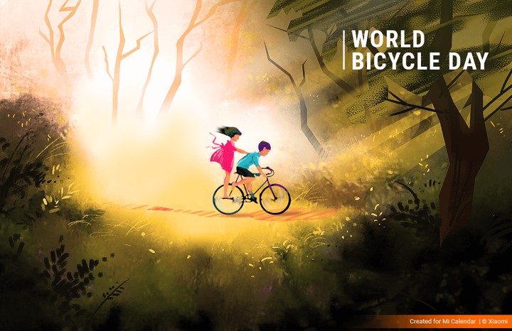WORLD BICYCLE DAY