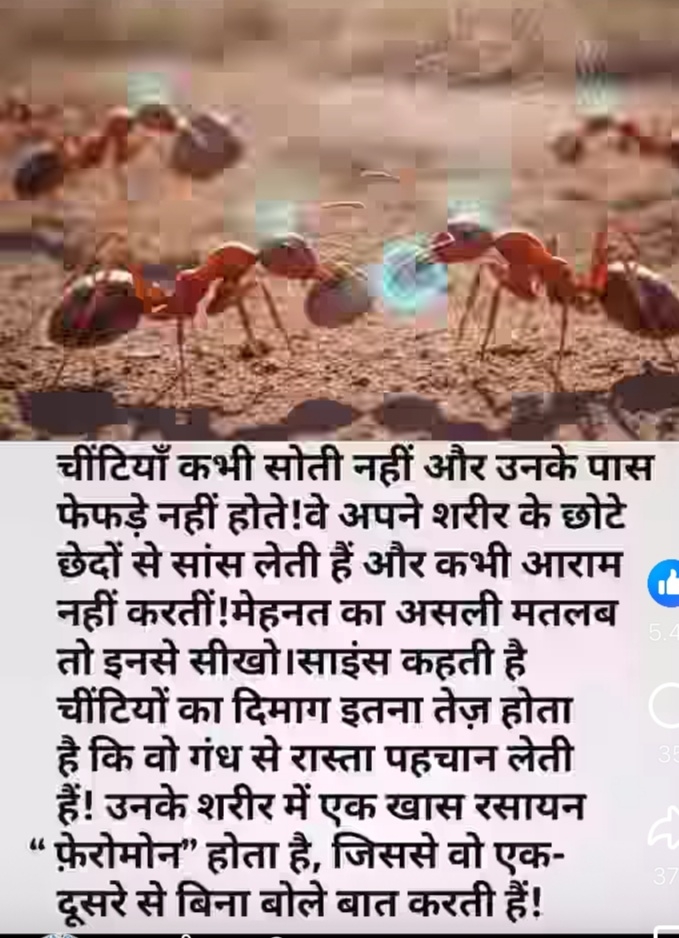 .