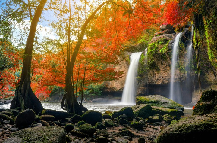Autumn colors