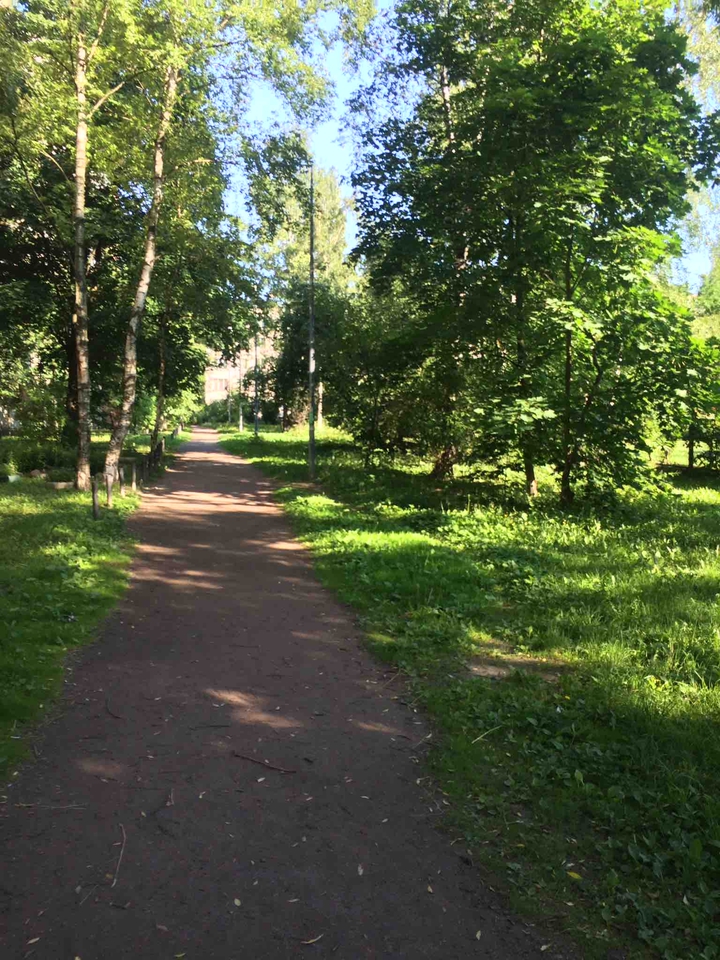 тропинка
