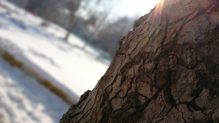 Taken by Xperia Z3+