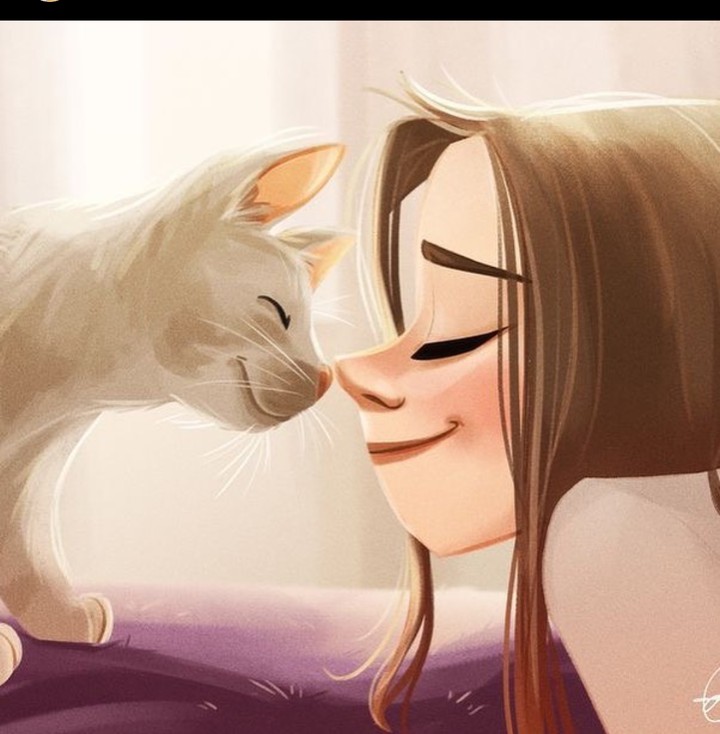 amo gatos