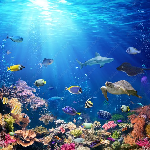 Underwater