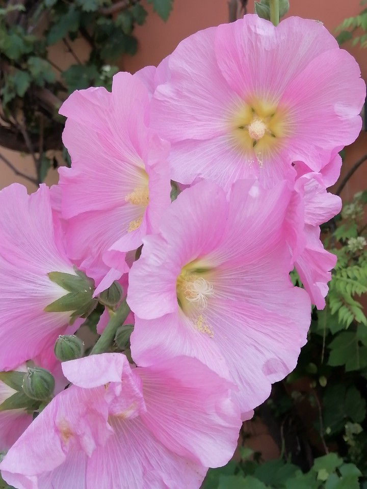 flower tube