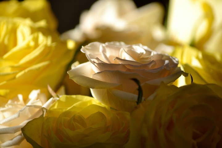 For All ❤