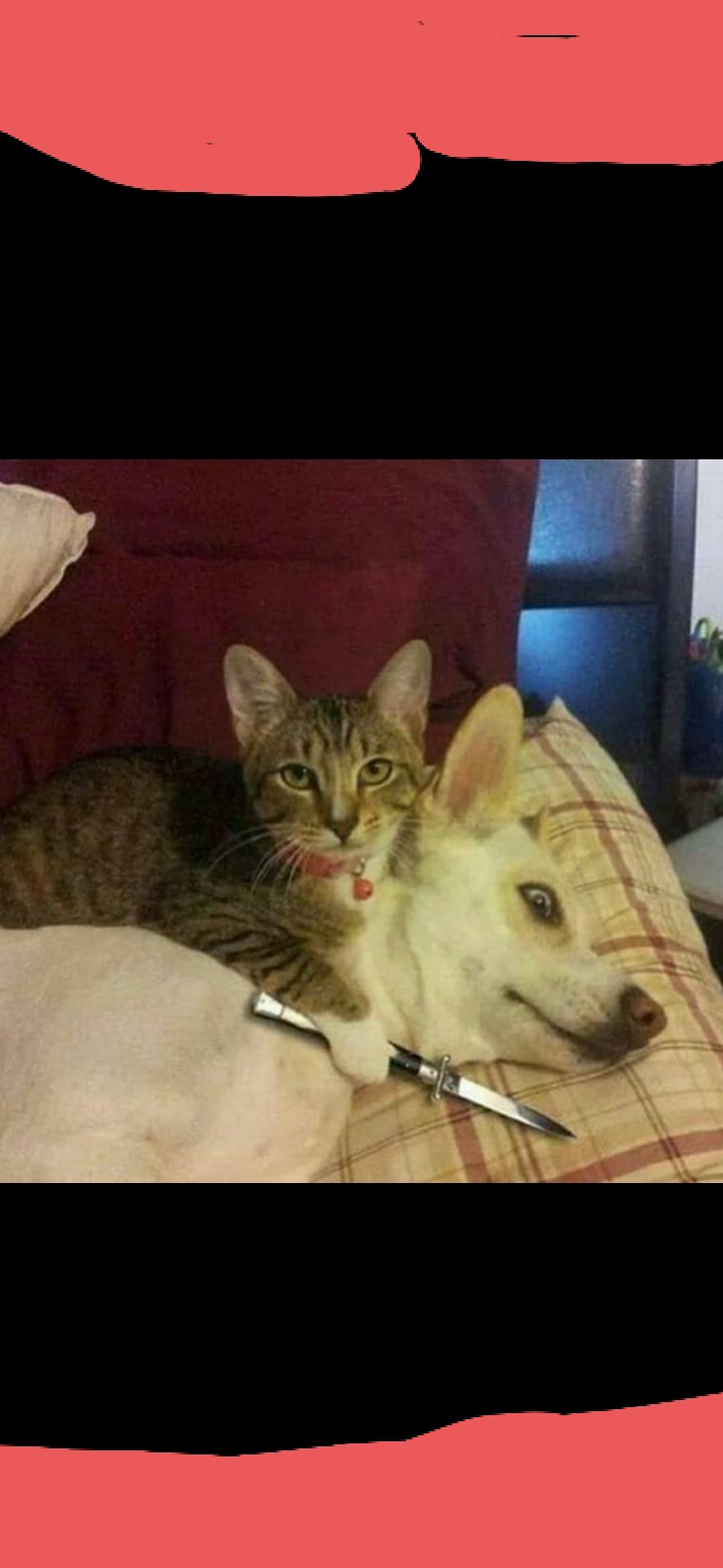 я хз как назвать