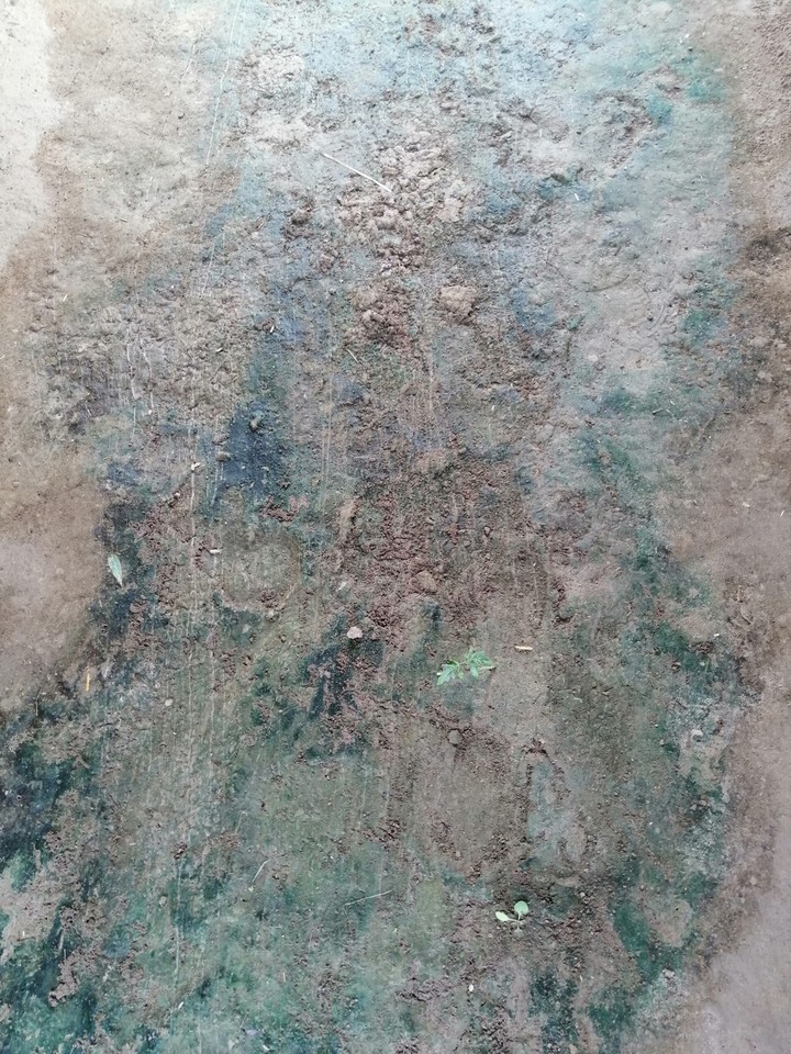 Ground
