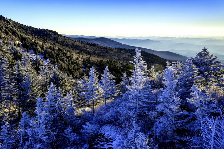 Snow trees and mountain scenery