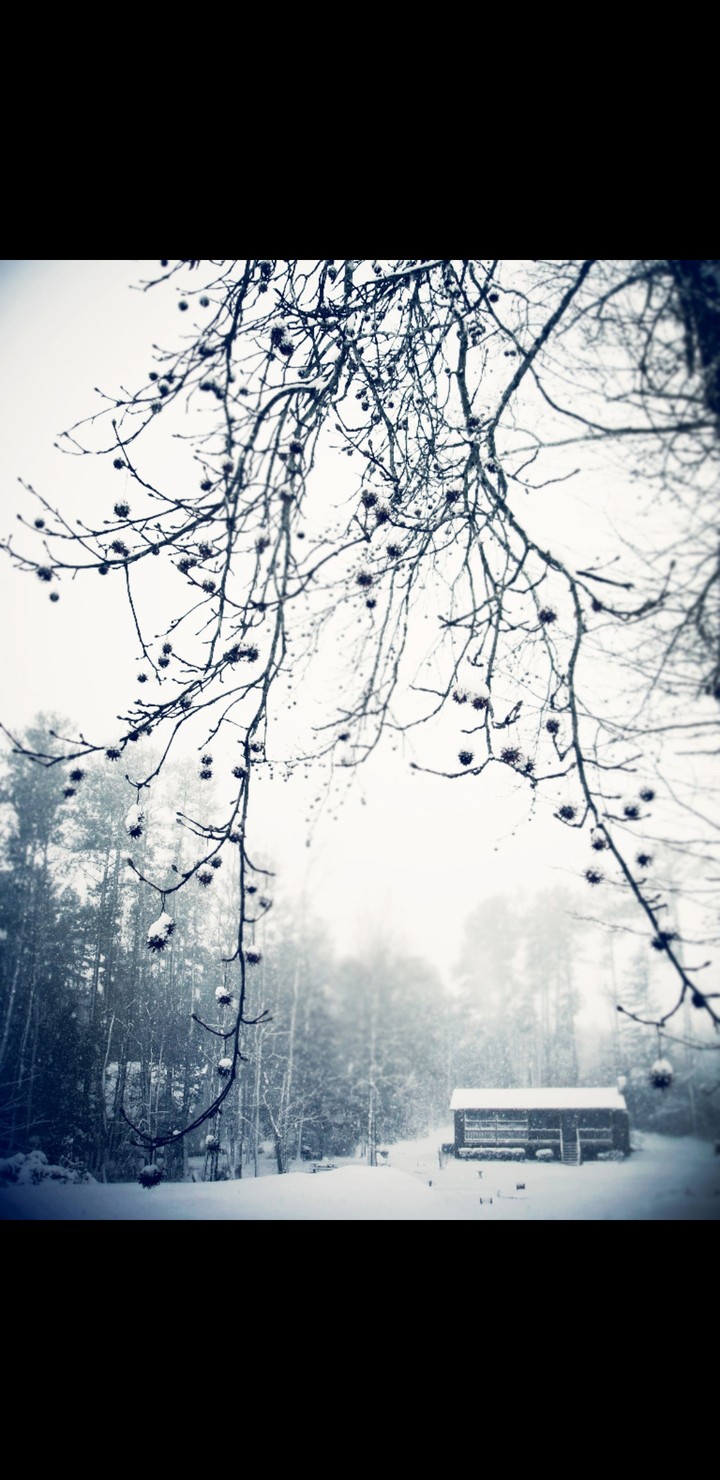 happy winter