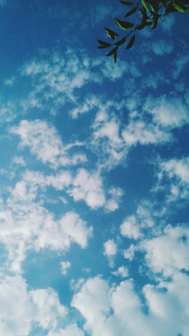 Blue sky