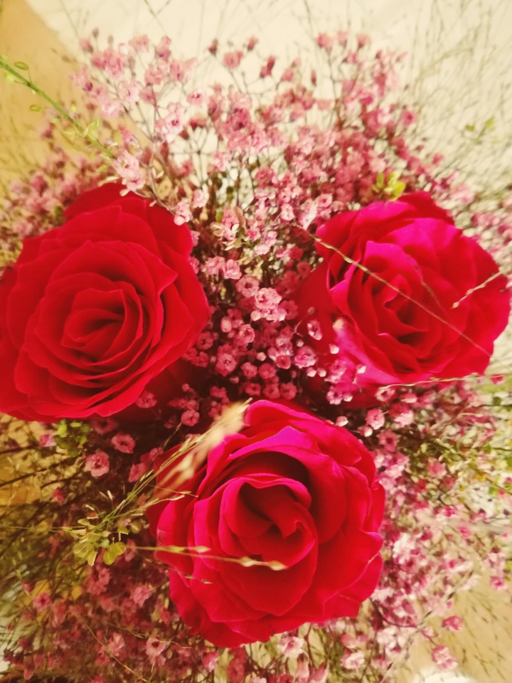 Roses