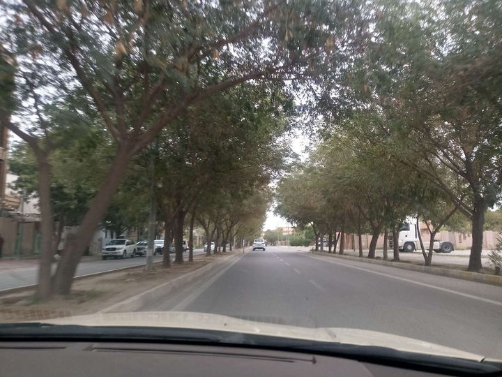 کلار