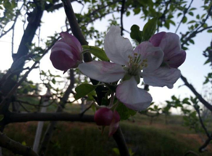 my photo ❤