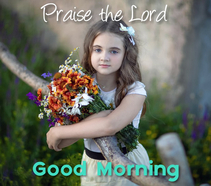 Good Morning ??