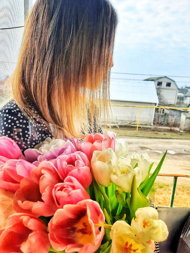 Тюльпаны