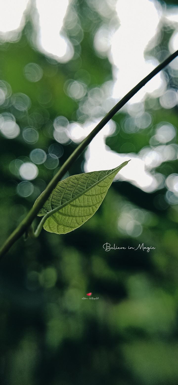 Greeny