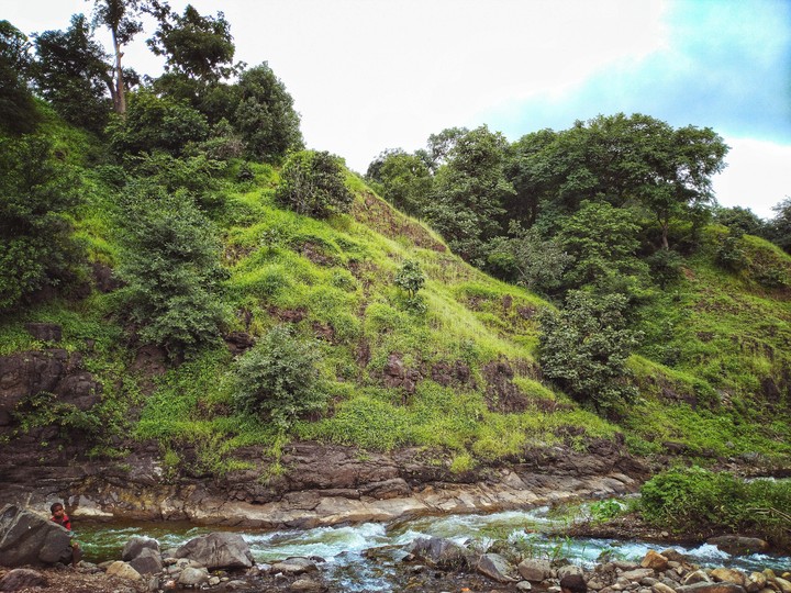 stream