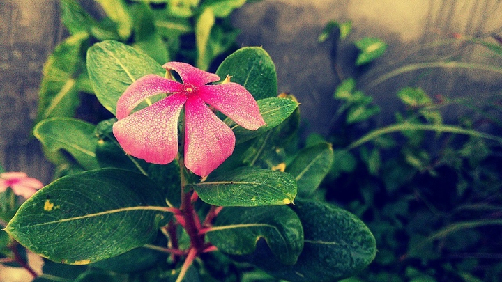sharpness