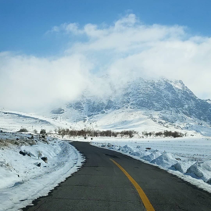 Roud in winter