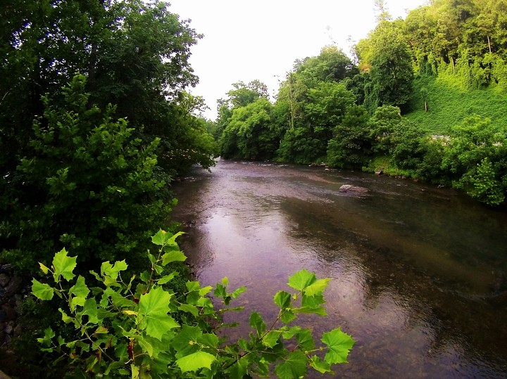 Nature