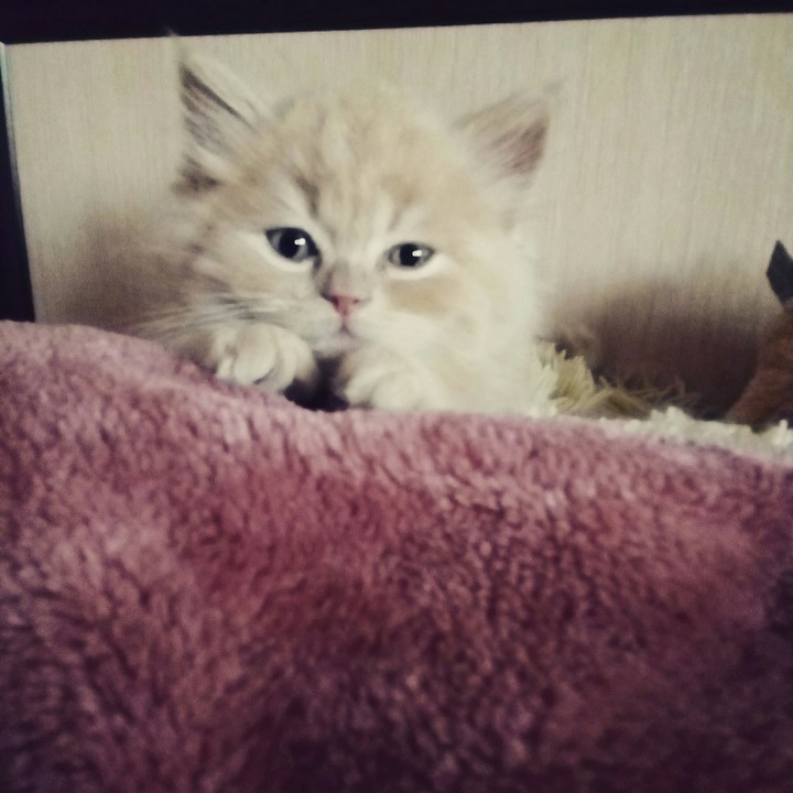 My beautiful girl.