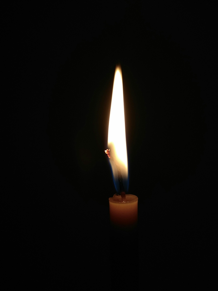 Light is Life