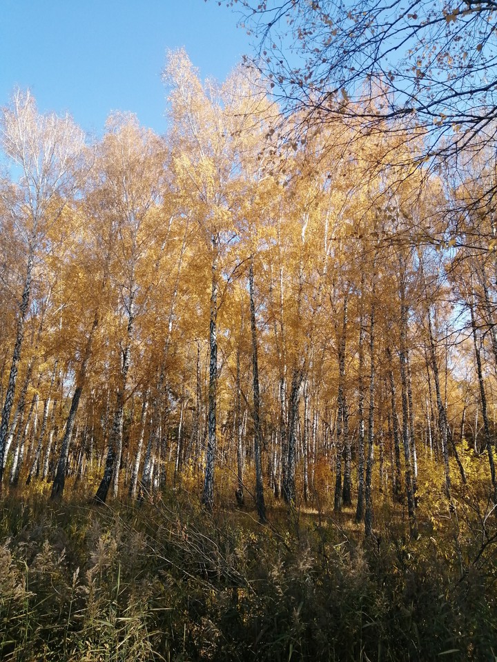 Осень.