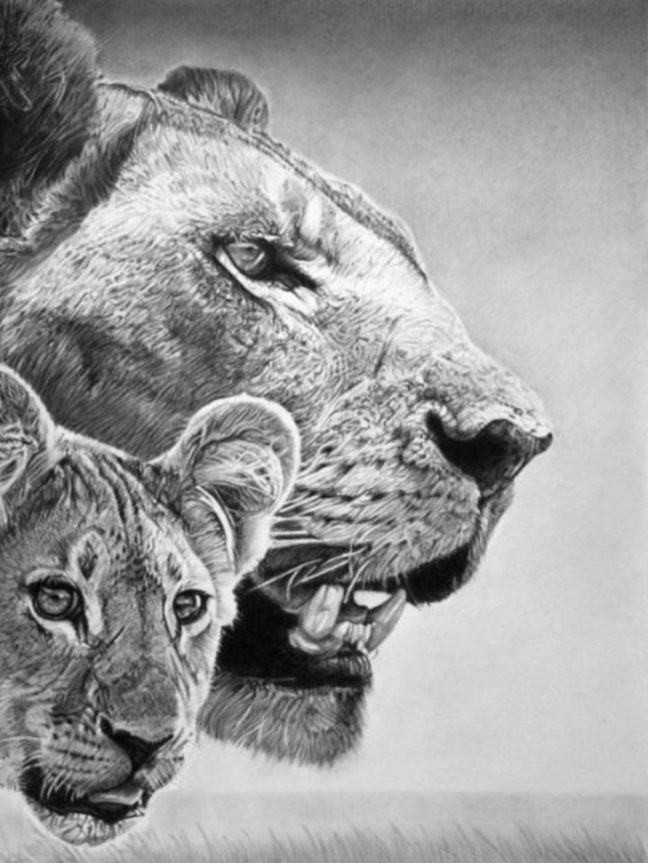 dessin