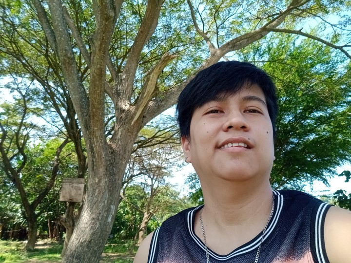 tree
