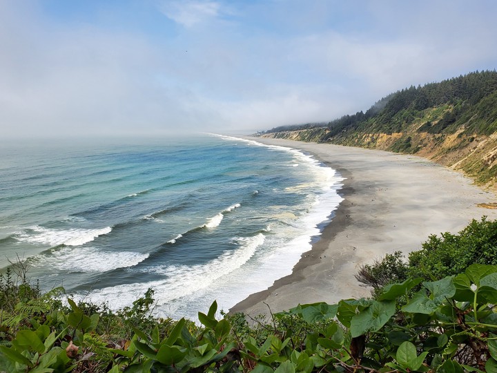 Patricks Point State Park
