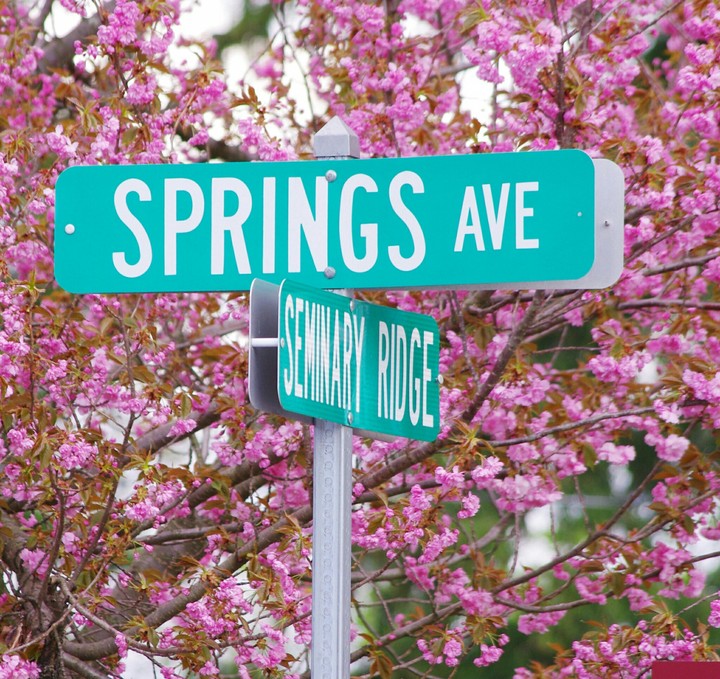 springs