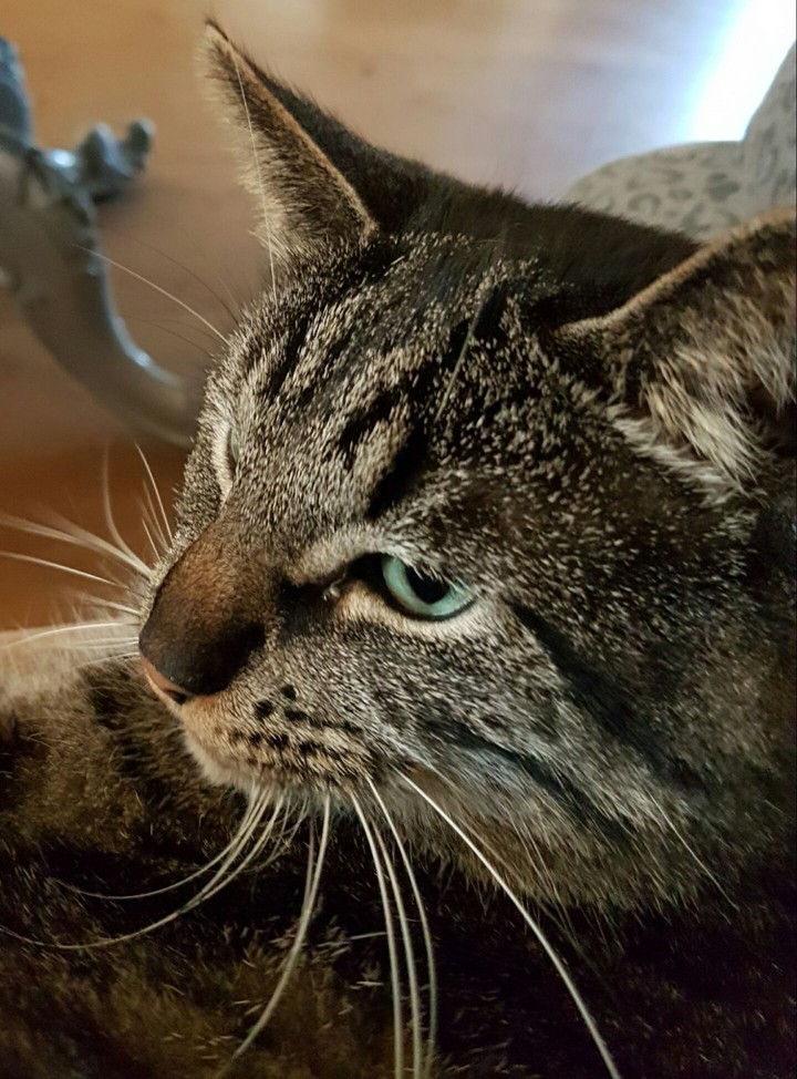 Mr. Fred is focusing