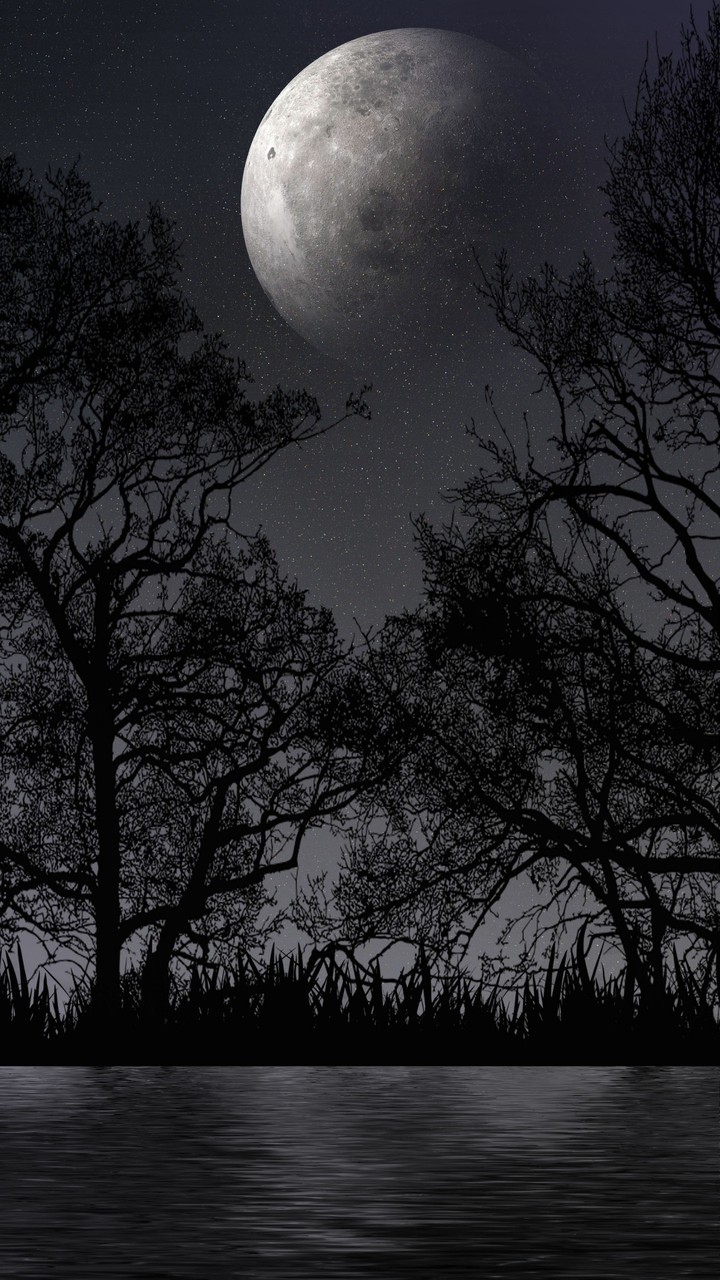 night