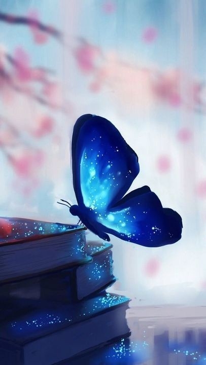 butterfly
