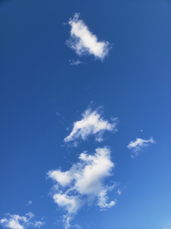 Sky