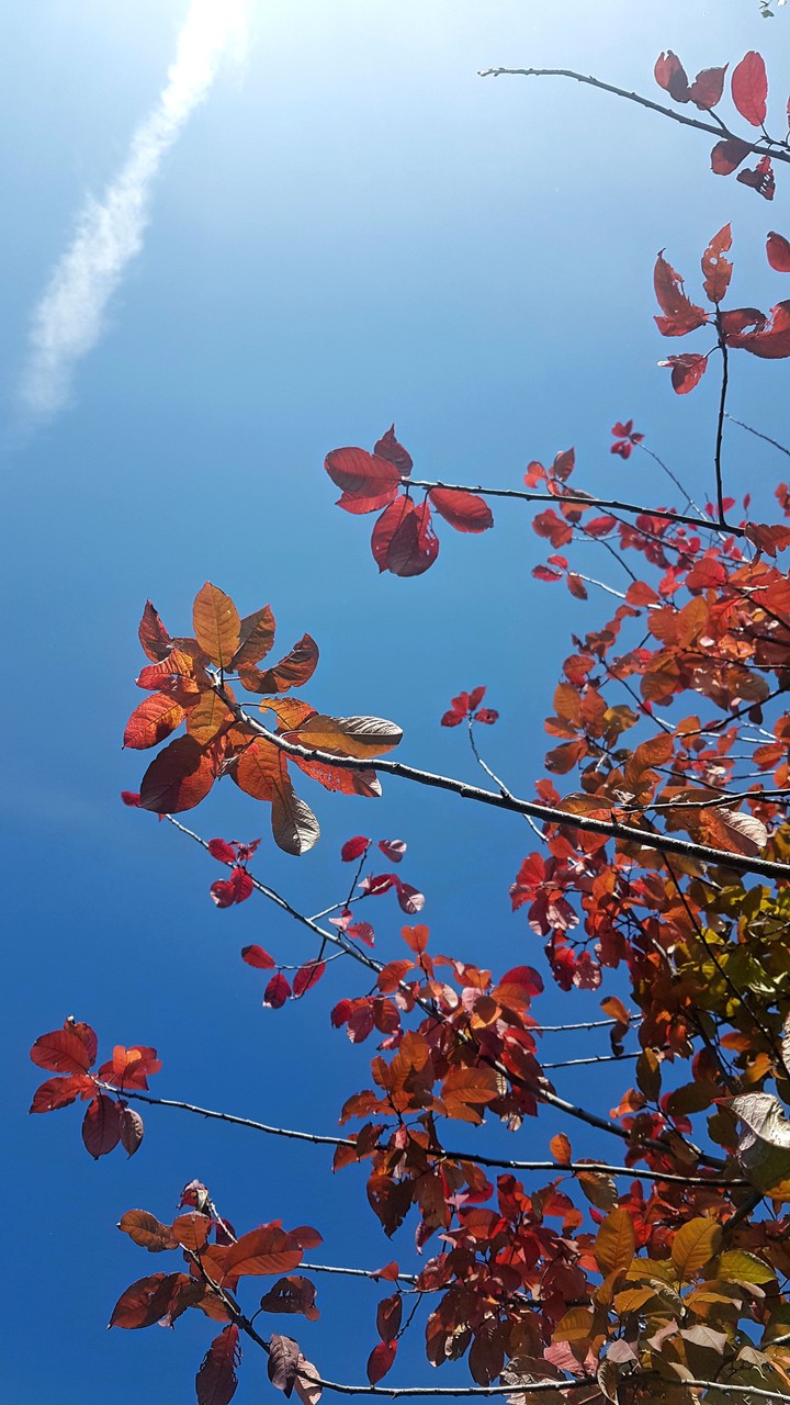 Autumn