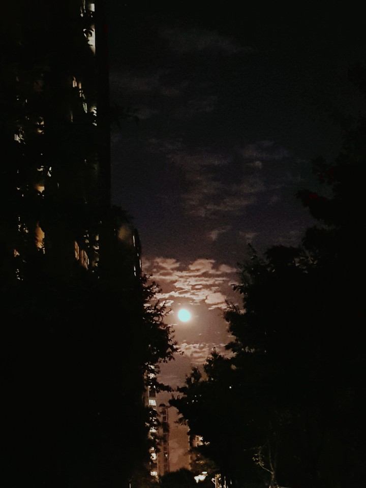 moon and city