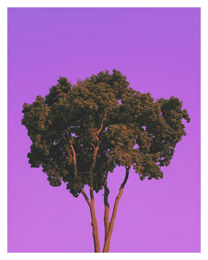 alone