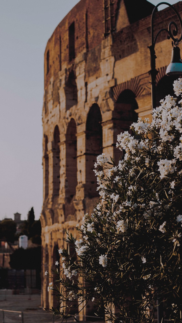 Verona