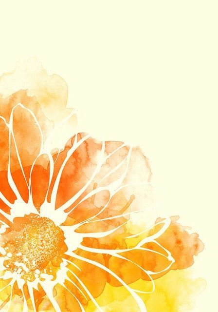 Sonnenaufgang mit Blume
