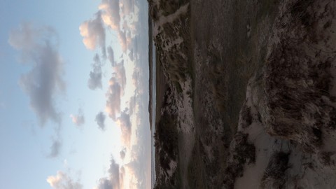 Texel