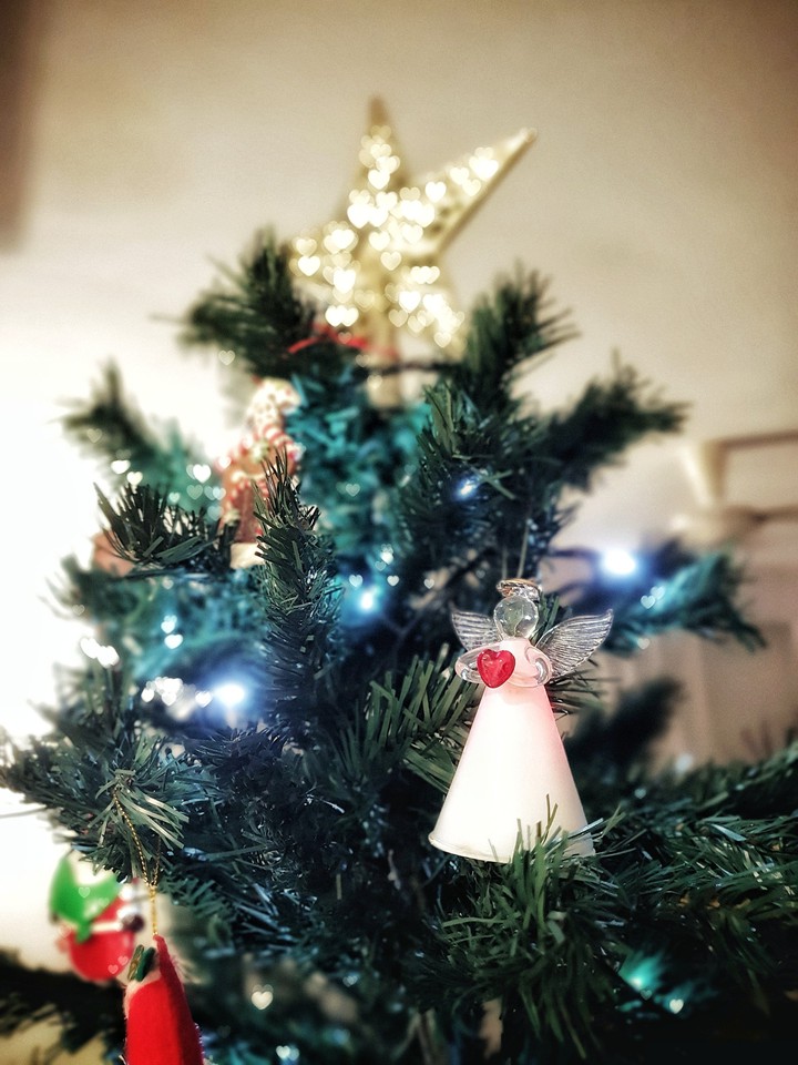 My Christmas Tree