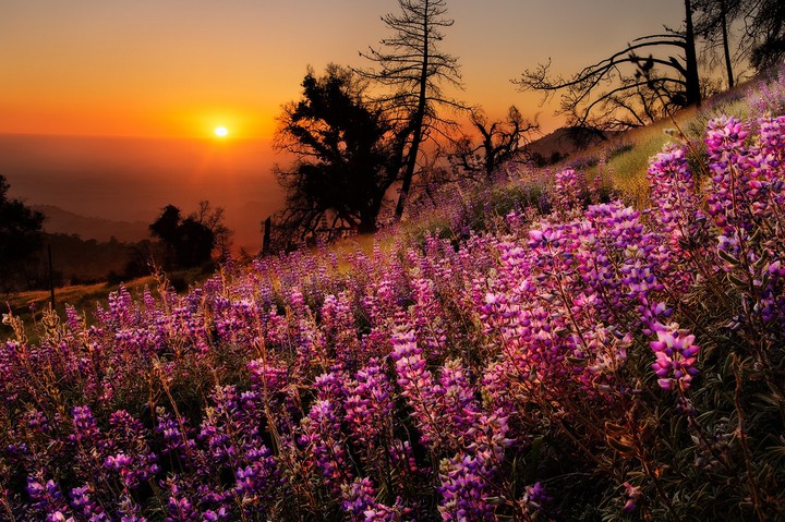 Nature's Beauty
